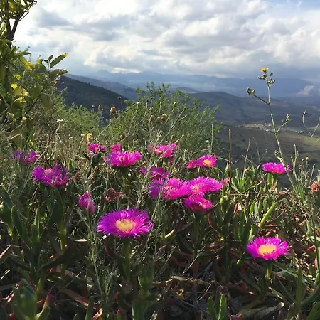 Loma Pelones 78 Сasa de vacaciones Viñuela